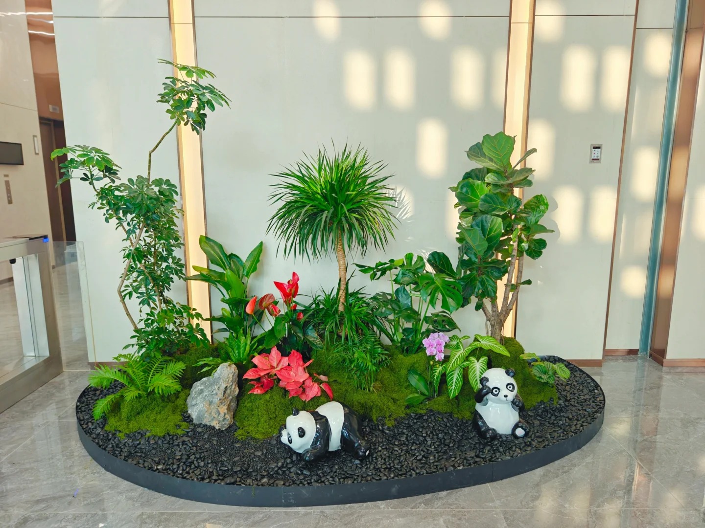 专业余姚植物租摆，给你精致的绿植租赁体验！