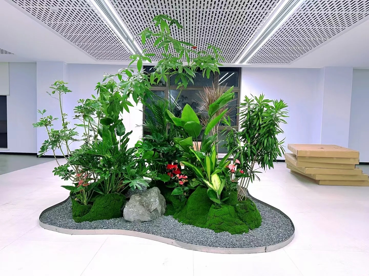 了解余姚花卉租摆公司，解锁绿植新体验